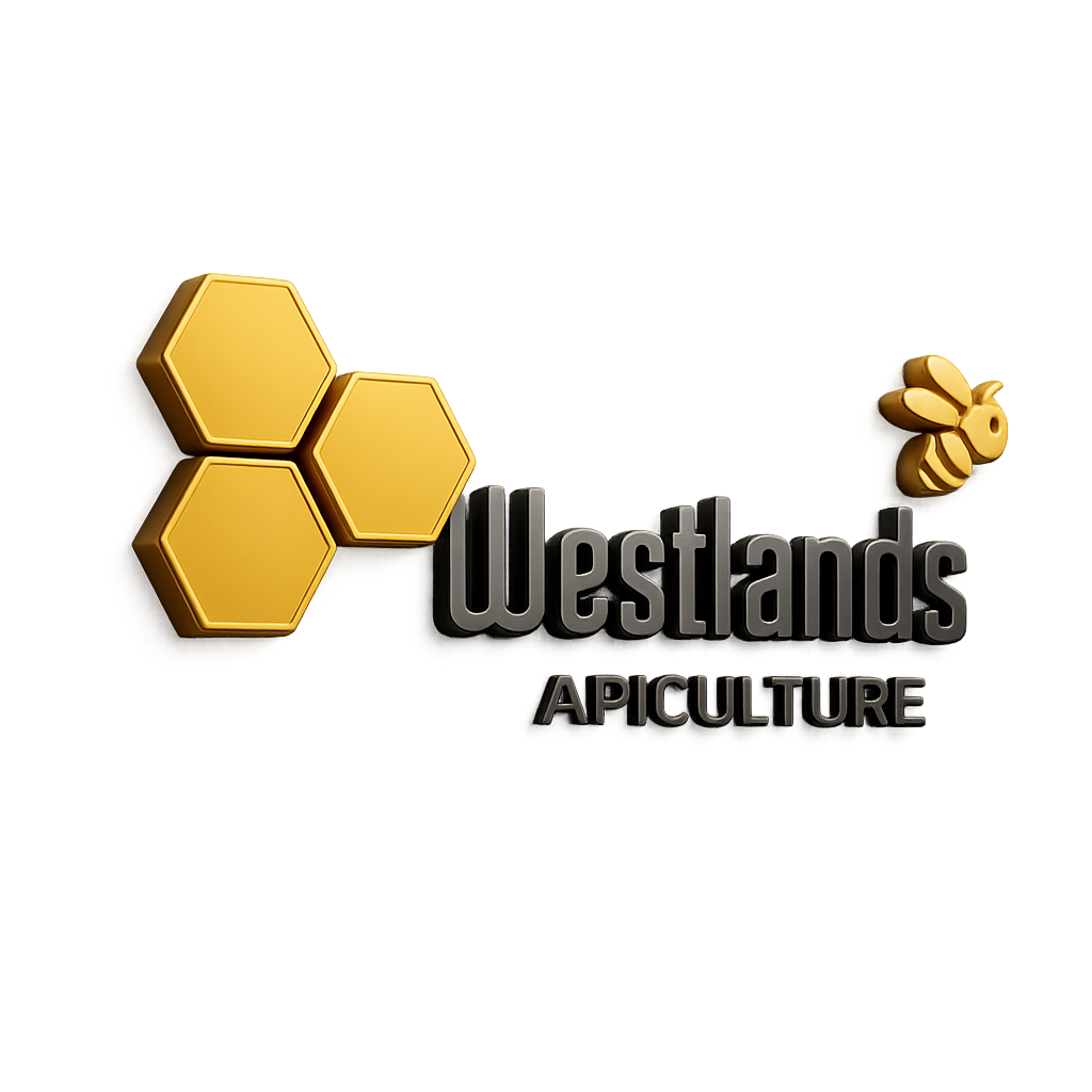 logo main
